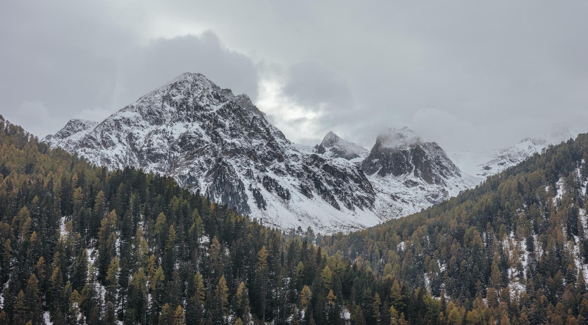 Boreal Forest biome