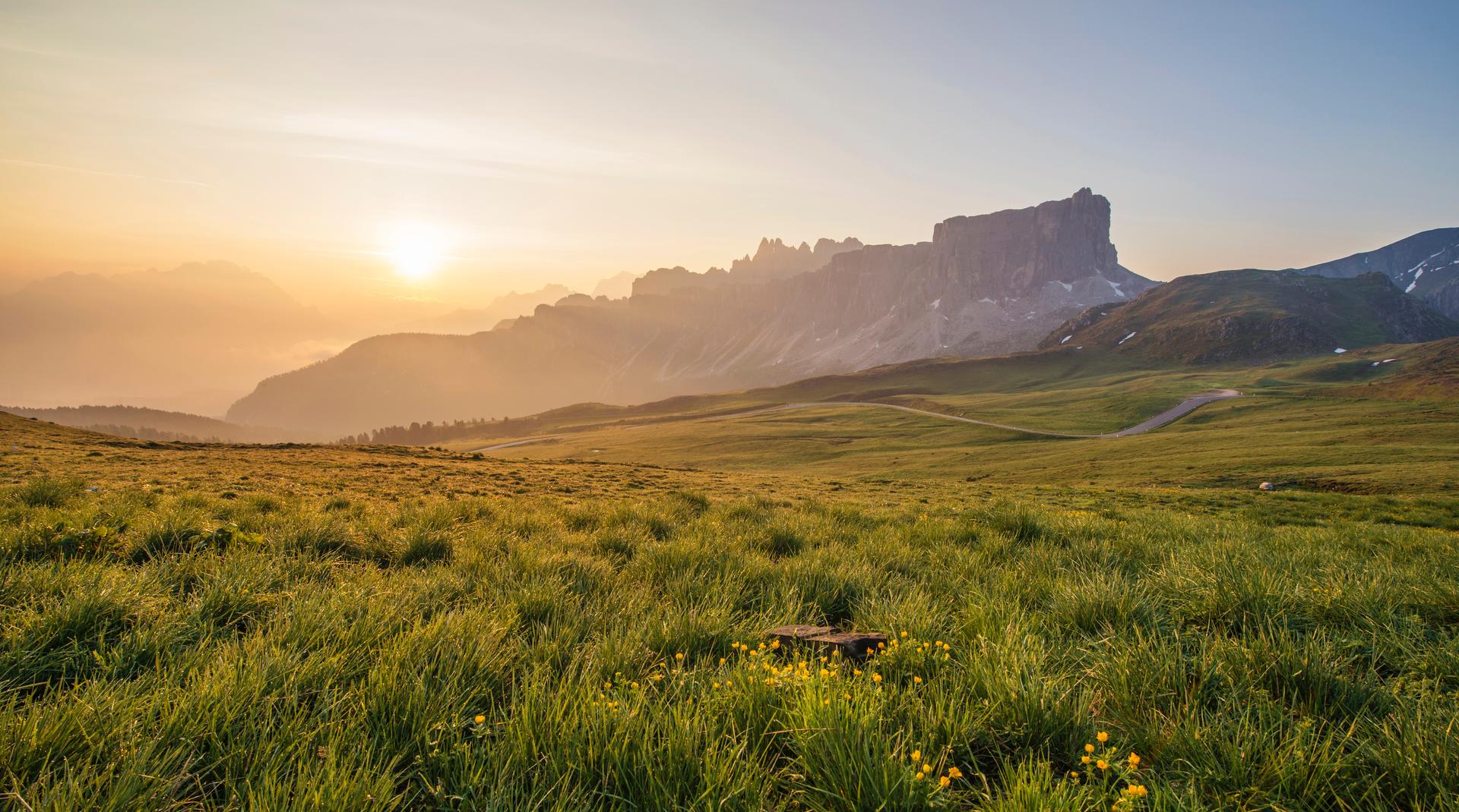 Grassland biome