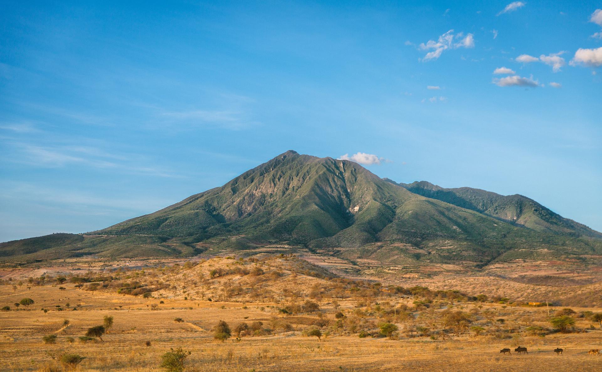 Savanna biome